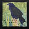 Raven on a Barbed Wire Fence NEW
cattim_727_23
6" X 6"
